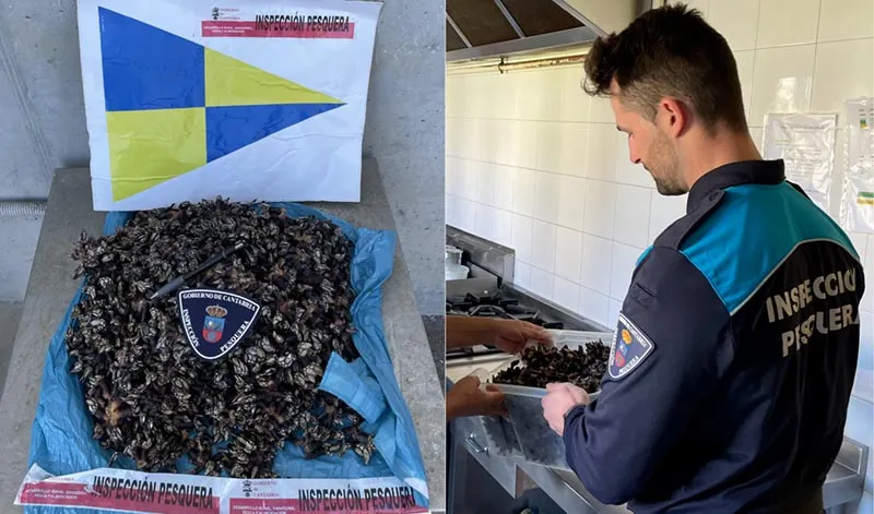 Noticias de Cantabria | El Cántabro | La Unidad de Inspección Pesquera intercepta a un pescador furtivo con 7 kilos de percebes en los acantilados de Tagle