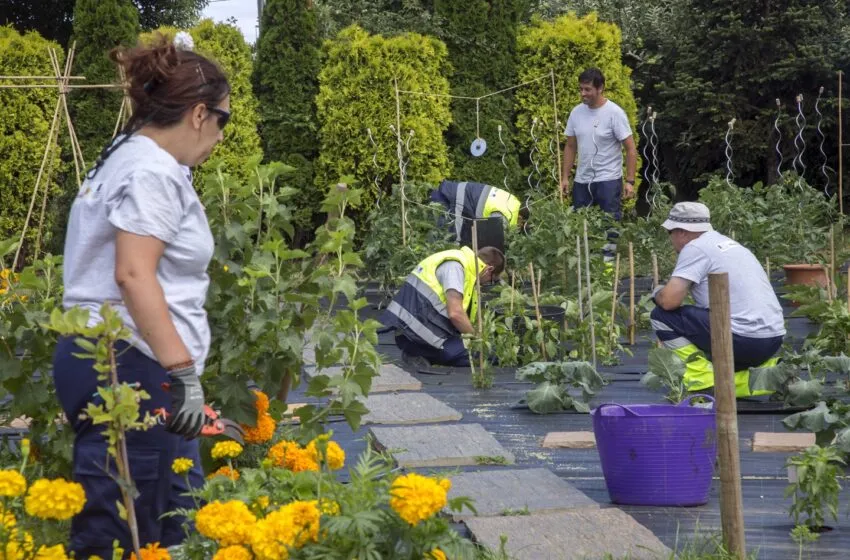  El Ayuntamiento de Camargo organiza un curso de Aplicador de Productos Fitosanitarios