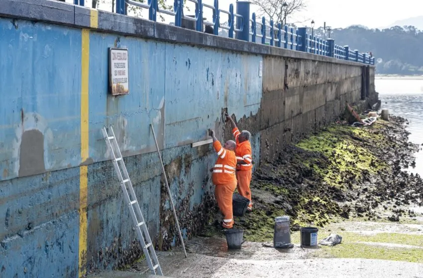 Noticias de Cantabria | El Cántabro | El Ayuntamiento de Camargo pone a punto la playa de Punta Parayas de cara a la temporada estival