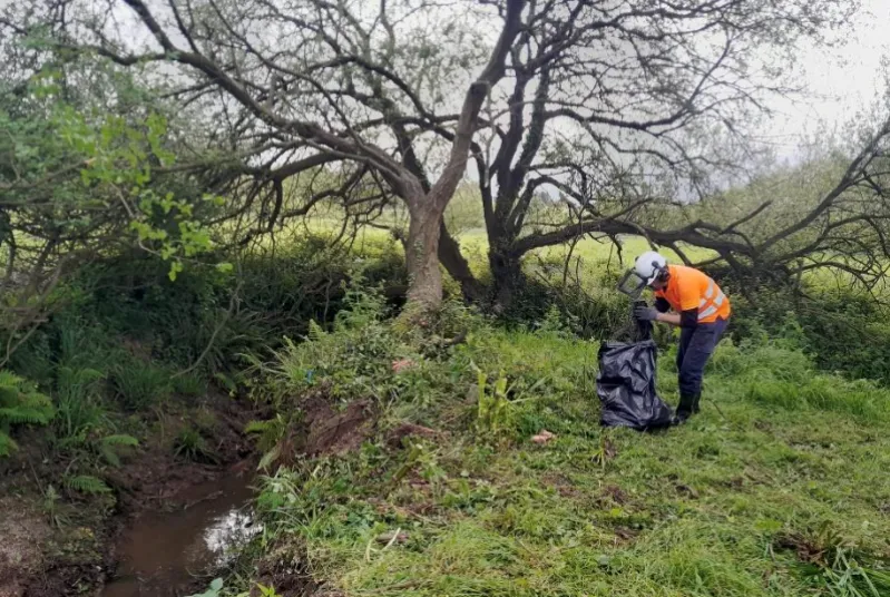  La Confederación Hidrográfica del Cantábrico trabaja en la conservación del arroyo Borroñal