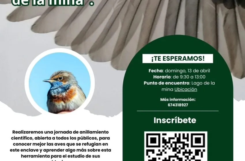 Noticias de Cantabria | El Cántabro | Programada una jornada de anillamiento de aves en el Lago de la Mina