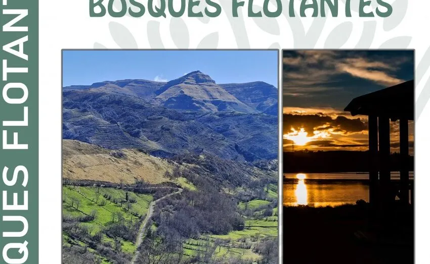  ASTILLERO ACOGE LA EXPOSICIÓN «BOSQUES FLOTANTES» E INCORPORA UNA RUTA ECOCULTURAL CON MAPA INTERACTIVO