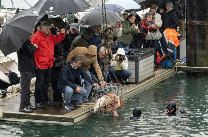 El Taller de Cerámica del Centro Cultural La Vidriera sumerge 70 ánforas en el mar para transformar las piezas