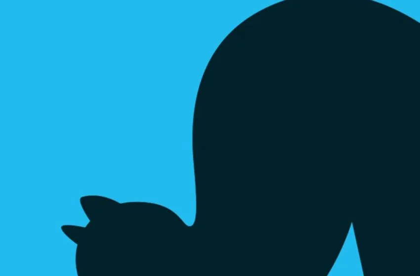 Noticias de Cantabria | El Cántabro | El Ayuntamiento lanza una campaña de concienciación sobre el control de colonias felinas