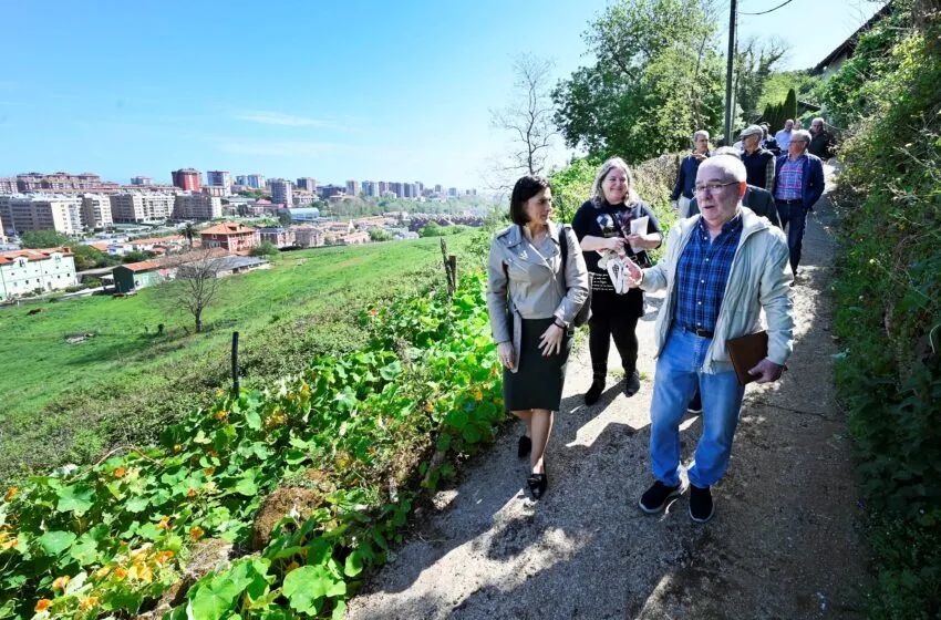 Noticias de Cantabria | El Cántabro | El Ayuntamiento llevará a cabo diferentes mejoras en el entorno de La Peña de Peñacastillo