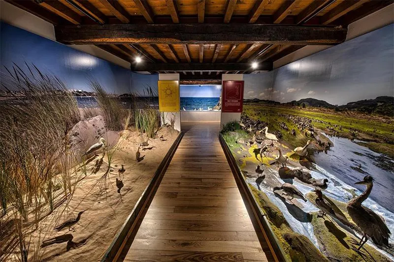 Noticias de Cantabria | El Cántabro | Cultura inicia en el Museo de la Naturaleza de Cantabria la implantación de audioguías en todos los centros museísticos