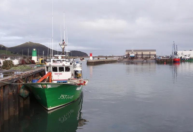  Susinos reclama al Gobierno central medidas económicas «urgentes» para el sector pesquero ante la «catastrófica» campaña del verdel