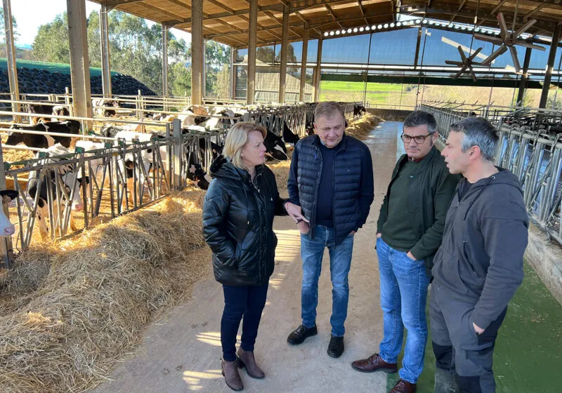 Noticias de Cantabria | El Cántabro | El Gobierno de Cantabria apoyará la participación de las ganaderías cántabras en los concursos nacionales e internacionales