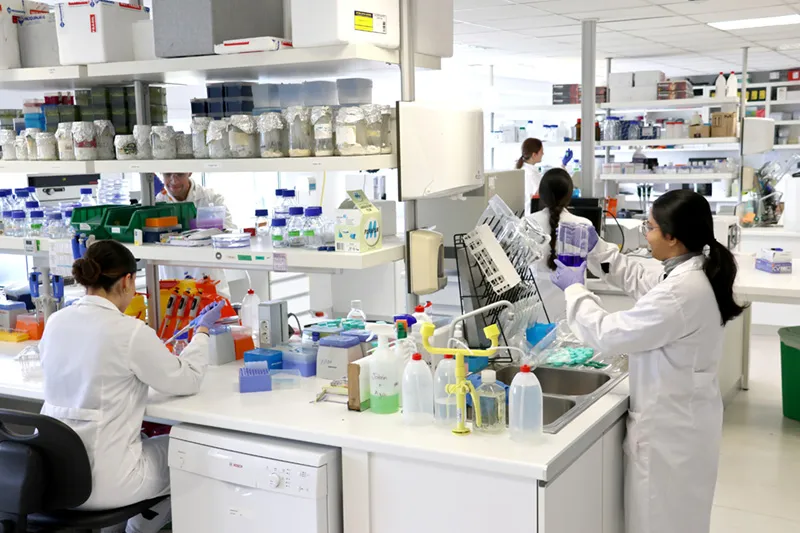 Investigadores del IDIVAL y la UC desarrollan nanomedicina dirigida que libera quimioterapia de forma selectiva en tumores