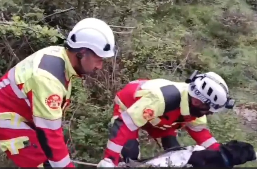 Bomberos del 112 Cantabria rescatan a un perro atrapado en una sima en San Sebastián de Garabandal