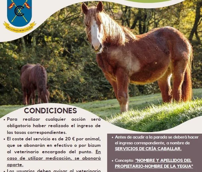  Parada de inseminación Santa Maria de Cayón 2025 será del 28 de abril al 25 de junio