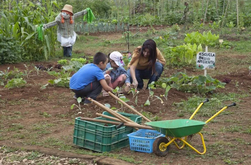 La Escuela de Medio Ambiente de Camargo promueve la creación de un jardín para los polinizadores