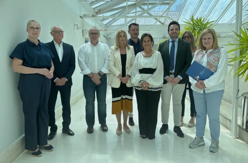 Noticias de Cantabria | El Cántabro | La consejera Begoña Gómez presenta en el Parlamento la Estrategia de Accesibilidad Universal de Cantabria 2025–2030