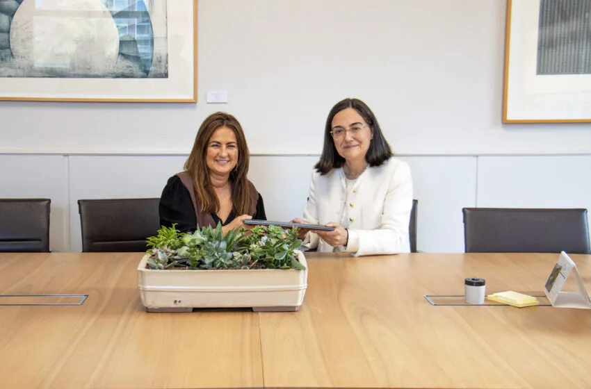 Noticias de Cantabria | El Cántabro | La UC dona 36 ordenadores a la Consejería de Inclusión Social para las casas de acogida de mujeres víctimas de violencia de género