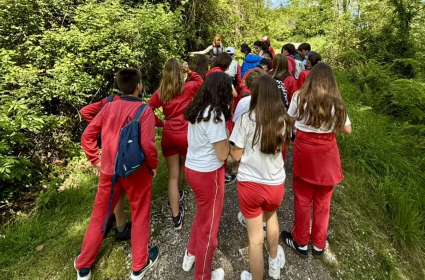 Noticias de Cantabria | El Cántabro | Cultura retoma el programa de educación ambiental para estudiantes organizado desde la Fundación Camino Lebaniego