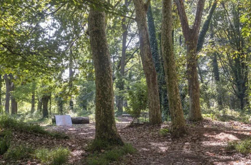  Torrelavega inicia la licitación del acondicionamiento de las sendas del Parque de Las Tablas