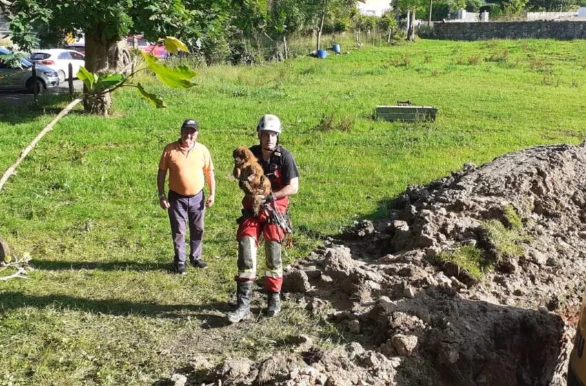 Rescatados dos perros atrapados en una sima de nueve metros en La Cavada