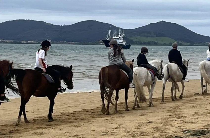 Éxito del programa joven de Semana Santa en Colindres