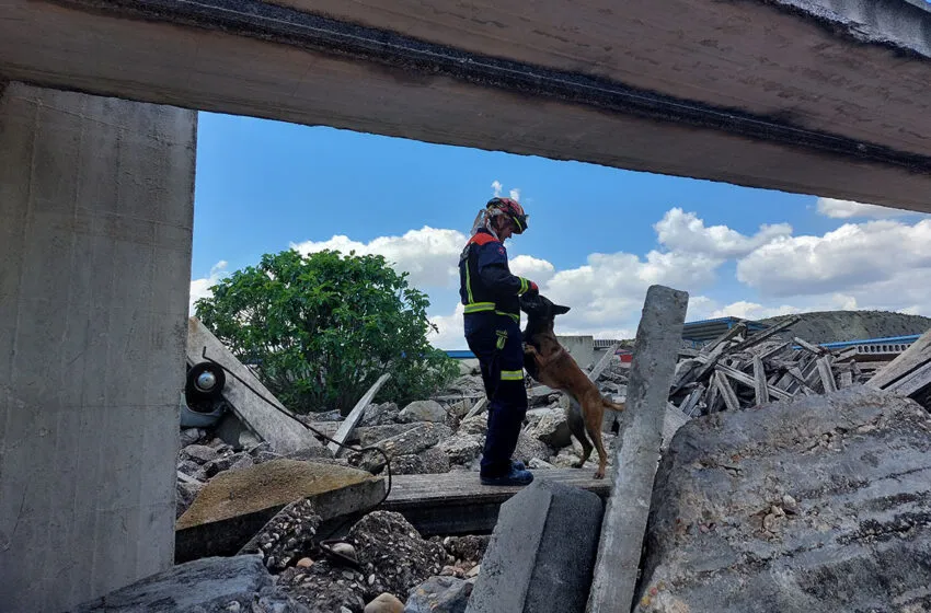 Noticias de Cantabria | El Cántabro | Protección Civil y la Escuela Española de Salvamento y Detección con Perros refuerzan su colaboración mediante un protocolo de actuación
