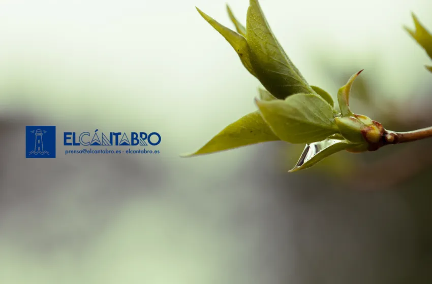 Noticias de Cantabria | El Cántabro | Viernes con chubascos dispersos y posibles tormentas en Cantabria