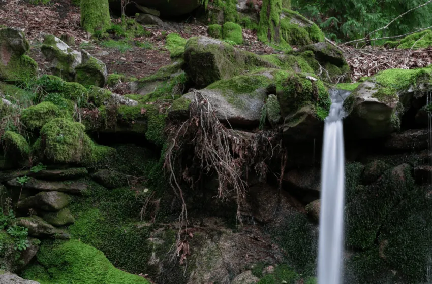 Noticias de Cantabria | El Cántabro | CSIF Cantabria denuncia graves irregularidades en el examen de oposición de Técnico de Planes Hidrológicos