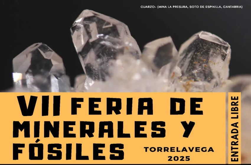 Noticias de Cantabria | El Cántabro | La EPI de Minas y Energía de la UC celebra la VII Feria de Minerales y Fósiles del 9 al 11 de mayo en Torrelavega