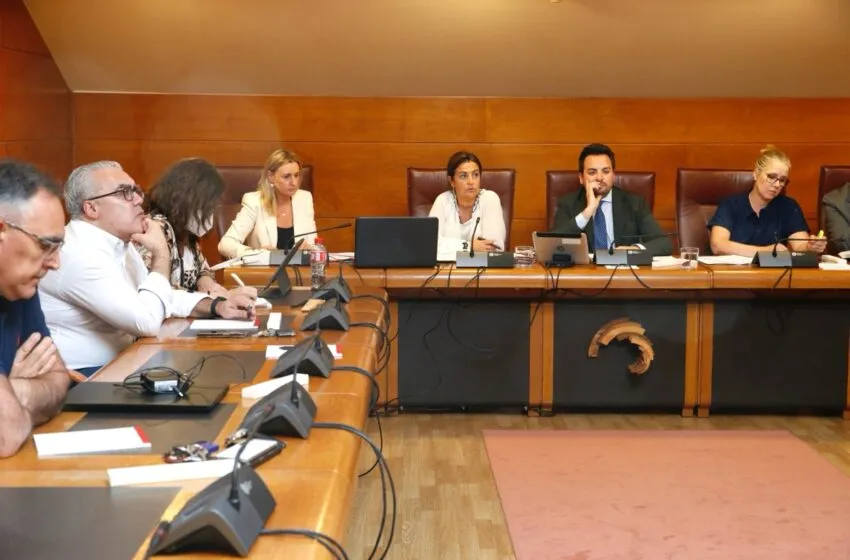 Gómez del Río presenta la Estrategia de Accesibilidad Universal de Cantabria 2025-2030 como punto de partida de la ley que impulse «eliminar barreras y garantizar derechos»
