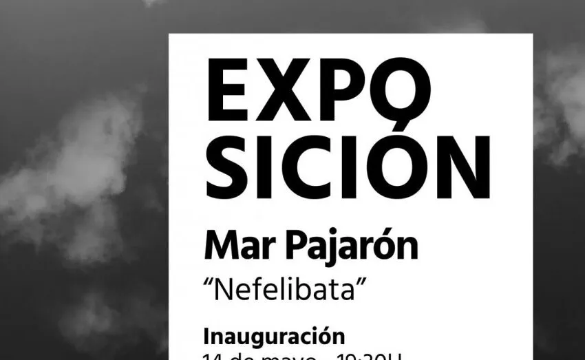 Noticias de Cantabria | El Cántabro | “NEFELIBATA” SE INAUGURA EN LA SALA BRETÓN DE ASTILLERO