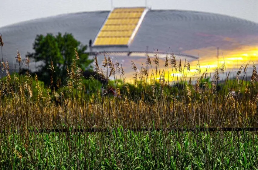 Noticias de Cantabria | El Cántabro | Orquídeas, babosas y estorninos, protagonistas del concurso de fotografía Santander Capital Natural
