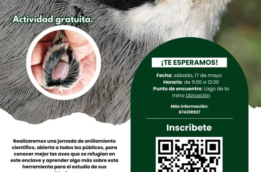 Noticias de Cantabria | El Cántabro | Jornada de anillamiento de aves en el Lago de la Mina