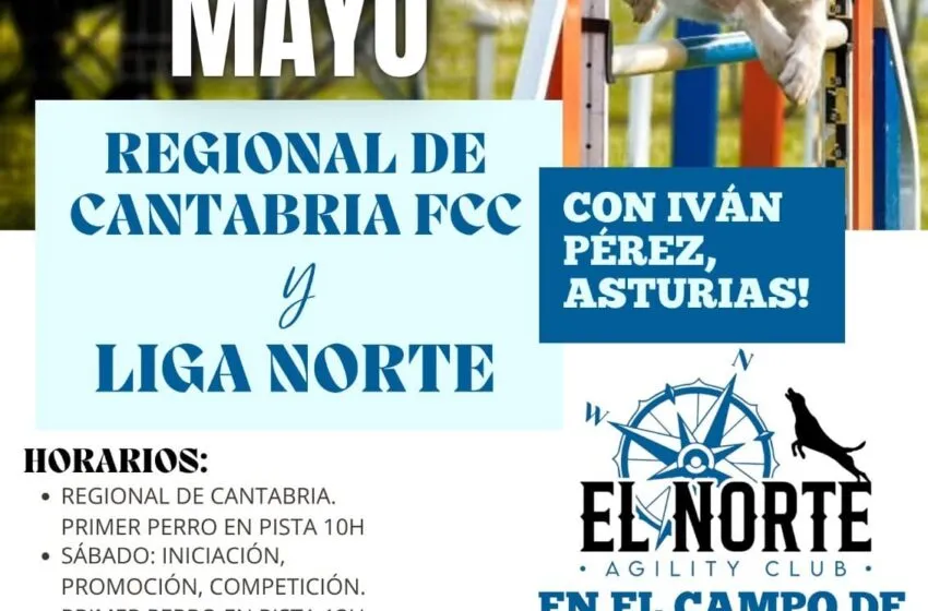Noticias de Cantabria | El Cántabro | Torrelavega acoge el Campeonato Regional y dos jornadas de la Liga Norte de Agility