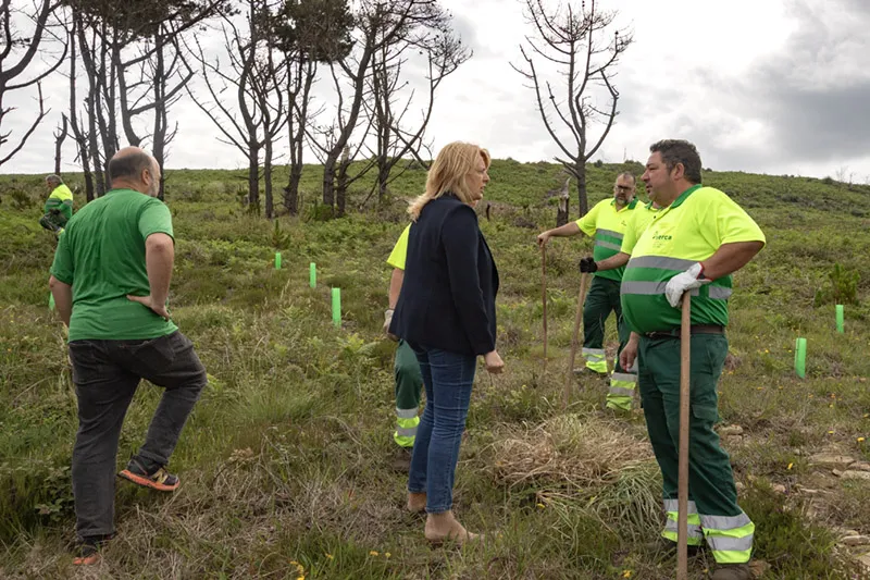 Noticias de Cantabria | El Cántabro | La consejera de Desarrollo Rural destaca, en el Día Europeo de la Red Natura 2000, la importante labor del proyecto LIFE Coop Cortaderia en la región, que ha conseguido restaurar hasta la fecha cerca de 100 hectáreas de zonas invadidas por el plumero Santander- 21.05.2025 La consejera de Desarrollo Rural, Ganadería, Pesca y Alimentación, María Jesús Susinos, ha participado hoy en los actos conmemorativos del Día Europeo de la Red Natura 2000, con más de 27.000 espacios protegidos de alto valor ecológico en toda Europa, y que en el caso de Cantabria supone el 26% de su superficie, y ha destacado la contribución del proyecto LIFE Coop Cortaderia a la conservación de la biodiversidad de los espacios naturales protegidos de la Comunidad Autónoma. En un acto celebrado en el Mirador de Cucabrera, en Galizano (Ribamontán al Mar), ubicado en la Zona de Especial Conservación (ZEC) Litoral de las dunas del estuario del Miera y las dunas de El Puntal, la consejera ha puesto en valor la labor de restauración de este proyecto, cofinanciado por el Gobierno de Cantabria, desde que se puso en marcha en 2023, y que se prolongará hasta 2028, mediante la eliminación del plumero y la restauración ambiental de las zonas degradadas por esta planta invasora en los espacios naturales protegidos de la región. En este sentido, ha destacado que, hasta el momento, desde octubre de 2023, esta iniciativa ha conseguido restaurar cerca de 100 hectáreas de zonas invadidas por el plumero, la mayor parte de ellas con método físico manual y un porcentaje menor con ayudas puntuales de palas retroexcavadoras. Unas cifras que ponen de manifiesto, en opinión de Susinos, que el proyecto "progresa adecuadamente" hacia el objetivo de restaurar 600 hectáreas en Cantabria del millar de hectáreas de plumero que se ha propuesto eliminar en el Arco Atlántico. "Hoy es un día muy importante porque sirve para dar a conocer todavía más la extensa red de espacios protegidos presentes en todos los países de la Unión Europea y en especial de Cantabria, pero sobre todo para concienciar sobre la importante de proteger esos lugares para que podamos disfrutarlos y valorarlos como las joyas que son", ha subrayado Susinos. La consejera ha aprovechado para reiterar el compromiso de apoyo del Gobierno de Cantabria con este proyecto LIFE, "que es una continuación del LIFE Stop Cortaderia (2018-2022), con el que Cantabria logró restaurar más de 400 hectáreas de plumero en la Red Natura 2000 costes y zonas de media montaña del interior de Cantabria". Además, ha recordado Susinos, que fue galardonado por la Comisión Europea con el premio Red Natura en la categoría 'Beneficios Socioeconómicos', ya que contó con un alto grado de beneficio social. En el caso del proyecto LIFE Coop Cortaderia, el Gobierno de Cantabria va a seguir apoyando la conservación de la biodiversidad que esta iniciativa promueve, aportando al proyecto una partida de 1,5 millones de euros durante los 5 años que dura el proyecto, o lo que es lo mismo, 300.000 euros al año. Este proyecto cuenta con una inversión de total en la región de 4.790.0000 euros, de los que el 60% proceden de la Comisión Europea y el resto del Gobierno de Cantabria y socios. En el caso de Cantabria, actúa en hábitats naturales de la zona de amortiguación de 500 metros alrededor de cada espacio de la Red Natura 2000 costera (buffer alrededor de ZEC Rías occidentales y Duna de Oyambre, ZECs Dunas de Liencres y Estuario del Pas, Dunas del Puntal y Estuario del Miera, Costa central y Ría de Ajo, Marismas de Santoña, Victoria y Joyel y Río Agüera). También en los corredores fluviales de todas las ZEC fluviales y su zona de influencia (Deva, Nansa, Saja, Pas, Miera, Asón y Agüera); las zonas de expansión en los municipios de Herrerías, Val de San Vicente y San Vicente de la Barquera, y los corredores bajo líneas eléctricas. Finalmente, Susinos ha puesto de manifiesto "la labor social" del proyecto LIFE Stop Cortaderia que coordina el Gobierno de Cantabria al contratar a personas con discapacidad para mejorar el estado de los espacios protegidos de Cantabria y dignificar el empleo de este colectivo social. "Este proyecto cumple una doble función: por una parte, la labor de restauración medioambiental con la extinción de los plumeros y la plantación de especies de nuestra comunidad, como brezos y tejos, y por otra, no menos importante, está la labor social", ha recordado Susinos. Y es que en la actualidad trabajan 5 cuadrillas, 30 personas, todas ellas con discapacidad. Acompañaron a la consejera el coordinador del proyecto LIFE Stop Cortaderia, Santiago García; la presidenta de la Junta Vecinal de Galizano, Marta Sainz; la primera teniente de alcalde de Ribamontán al Mar, Araceli Colina; así como miembros de la Corporación municipal de ese mismo ayuntamiento; SEO Bird Life; IDIVAL; SERCA y presidente y junta directiva de AMPROS y AMICA. COOP Cortaderia El proyecto LIFE COOP Cortaderia 'Stop Cortaderia + Development and implementation of a transnational Alliance against Cortaderia', con una duración prevista de 5 años, tiene como objetivo restaurar un millar de hectáreas de plumero en el Arco Atlántico y promover la cooperación y la acción coordinada para el control y la contención del plumero de la pampa en el Arco Atlántico. Actúa especialmente en las zonas costeras de la Red Natura 2000 y los corredores fluviales, además de trabajar en el confinamiento de la especie y favorecer la transferencia de conocimiento científico y técnico, a través de una alianza transnacional, a otras regiones biogeográficas en las que el plumero de la pampa también constituye un problema. El proyecto destaca, además, por la inclusión social de personas con discapacidad, trabajadoras y trabajadores que desempeñan las labores de eliminación de la especie y la recuperación del hábitat. Liderado por la Sociedad de Apoyo al Empleo en Medio Ambiente (SAEMA – Centro de Especial de Empleo perteneciente a la asociación AMICA), el proyecto ha sido posible gracias a la contribución financiera del programa LIFE, el Gobierno de Cantabria, a través de la Consejería de Desarrollo Rural, Ganadería, Pesca y Alimentación, Red Eléctrica Española y EDP Energías de Portugal. Cuenta con 10 socios desde Coimbra (Portugal) hasta Aquitania, en Francia, y en el caso de Cantabria, además de SAEMA, que aporta 2 cuadrillas forestales, participan la sociedad conservacionista SEO BirdLife, que aporta el conocimiento técnico de medio natural y restauración de hábitats, además de ocuparse de la comunicación y difusión del proyecto; AMPROS, que aporta 2 cuadrillas forestales; SERCA, que aporte una cuadrilla forestal, y el IDIVAL, que realiza una investigación sobre las alergias respiratorias que provoca el plumero. Tanto SAEMA como AMPROS y SERCA contribuyen al proyecto con cuadrillas de personas con discapacidad hasta el punto de que en estos momentos hay 5 cuadrillas forestales integradas por una treintena de personas con discapacidad trabajando al 100% de forma estable en el proyecto.