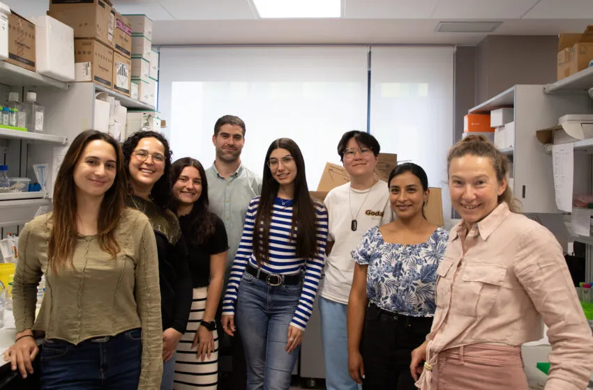 Noticias de Cantabria | El Cántabro | El IBBTEC aportará su experiencia en la creación de organoides cardíacos en el proyecto europeo CardioPharmaGENET   