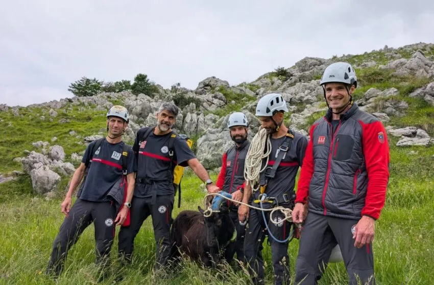  Bomberos de Cantabria rescatan a una cabra atrapada durante varios días en una repisa en Calseca (Ruesga)