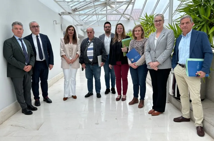 Noticias de Cantabria | El Cántabro | “La participación no puede ser una formalidad”: FECAV defiende un papel activo de la ciudadanía en la toma de decisiones públicas