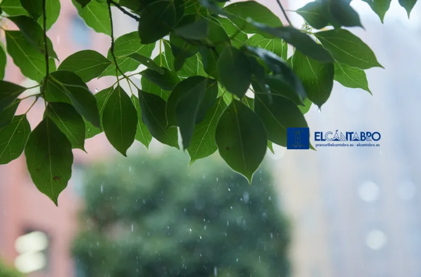 Noticias de Cantabria | El Cántabro | Persisten las lluvias débiles y el ambiente fresco en Cantabria