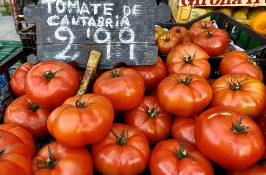 “El consumo de kilómetro cero es una gran oportunidad para el sector primario de Cantabria”, Gabriel Moreno (CIFA)