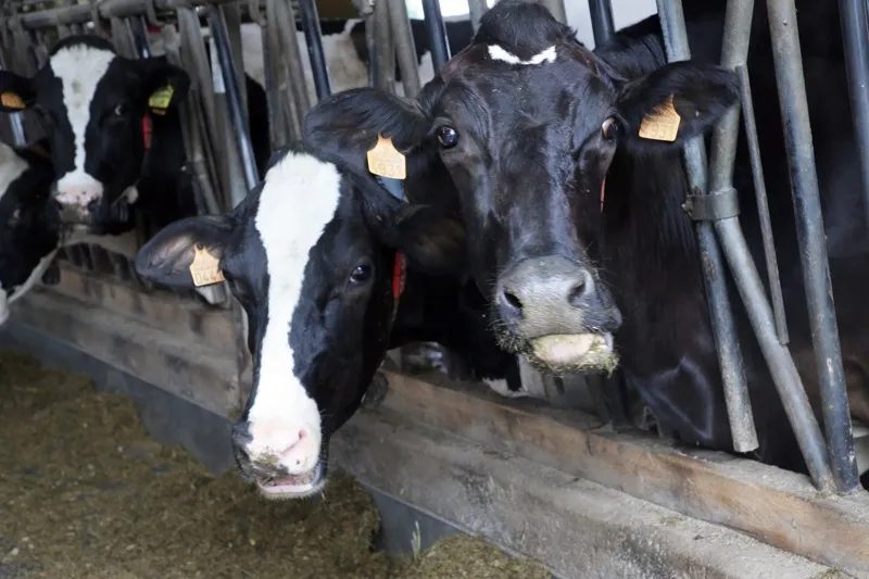 Desarrollo Rural recuerda la aplicación del protocolo de medidas frente a la EHE con el inicio de la época estival