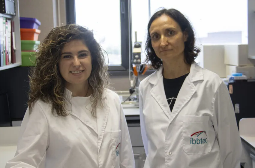 Noticias de Cantabria | El Cántabro | Una proteína vinculada a la neuroplasticidad revela diferencias clave en la depresión femenina