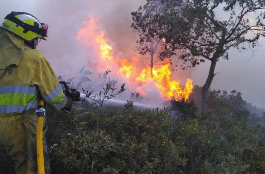  El Gobierno establece las prohibiciones y suspensión de actividades en el monte ante el riesgo meteorológico de incendio forestal
