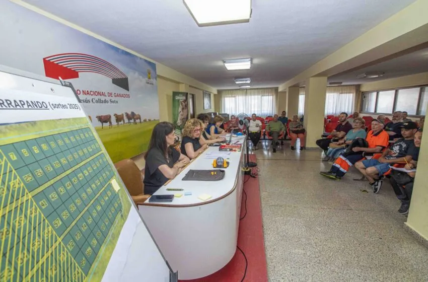 Sorteados los huertos urbanos municipales de Sierrapando y Coteríos