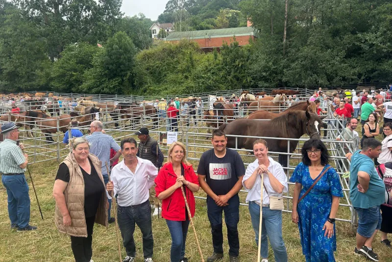 Noticias de Cantabria | El Cántabro | Susinos visita la feria de ganado bovino, equino, ovino y caprino de Ampuero y traslada el apoyo del Gobierno al sector