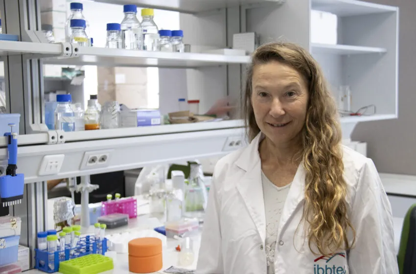 Noticias de Cantabria | El Cántabro | Un fármaco experimental logra prevenir la fibrosis cardiaca en modelos humanos de laboratorio