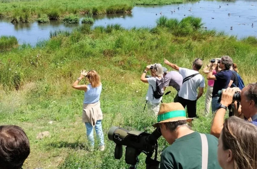 Aves rapaces y migratorias, protagonistas de los Cursos de Verano de la UC en Suances
