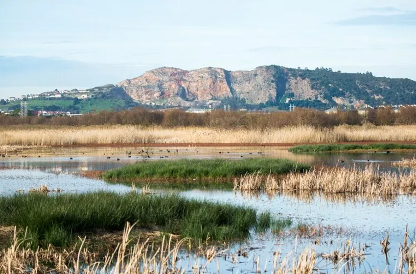  Las marismas de Alday, un oasis entre el asfalto con un alto valor biológico