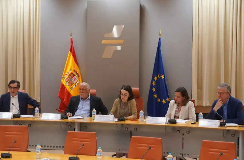  Más de 36.000 accidentes al año: la DGT lanza una guía pionera para frenar la “epidemia silenciosa” de atropellos a fauna en carretera