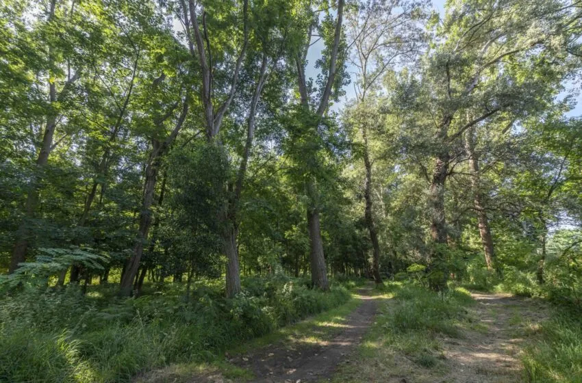  Avanza el proceso de licitación del acondicionamiento de las sendas del Parque de Las Tablas