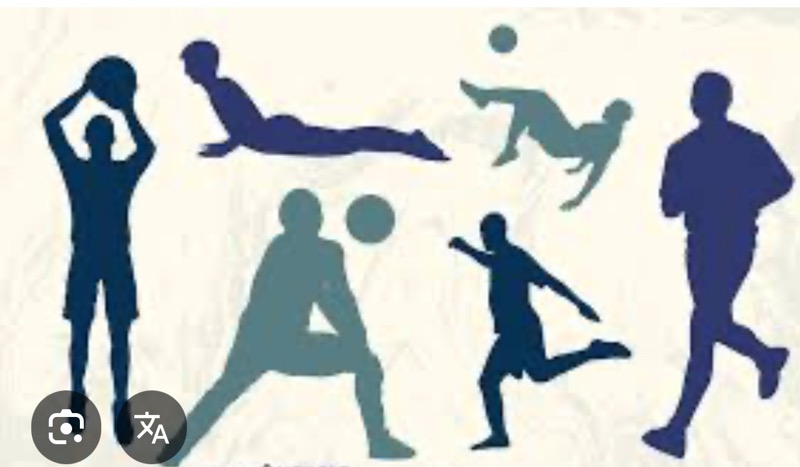 Noticias de Cantabria | El Cántabro | El Gobierno convoca los Premios a la Excelencia Deportiva de la Comunidad Autónoma de Cantabria