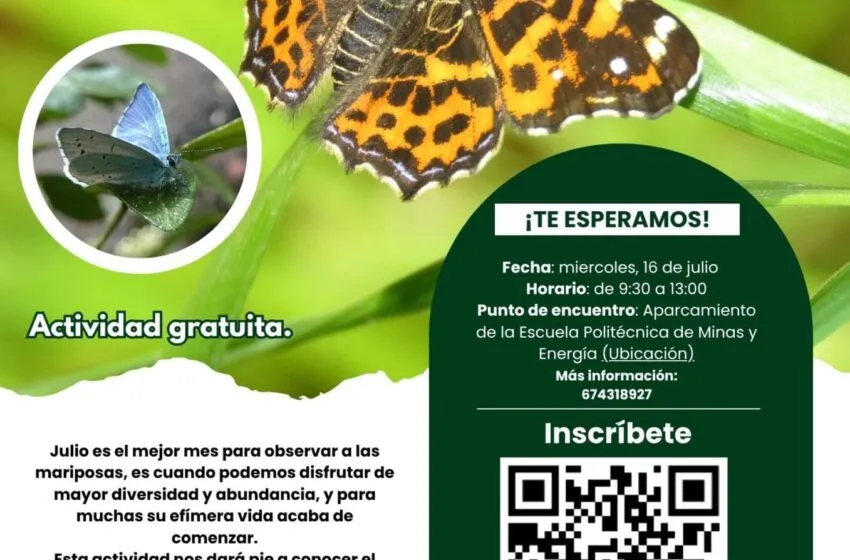  El 16 de julio nueva actividad gratuita sobre las mariposas dentro de ‘Torrelavega Conexión Natural’
