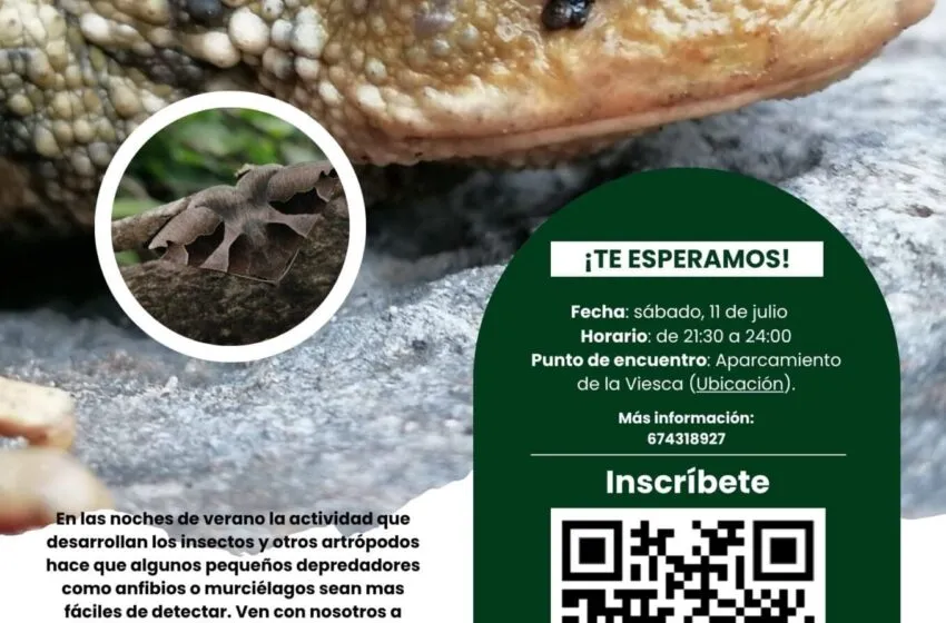  ‘Safari nocturno en La Viesca’ el 11 de julio